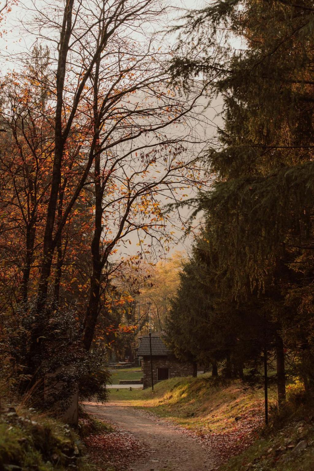 Guesthouse Giulietta E Romeo Cossogno ภายนอก รูปภาพ
