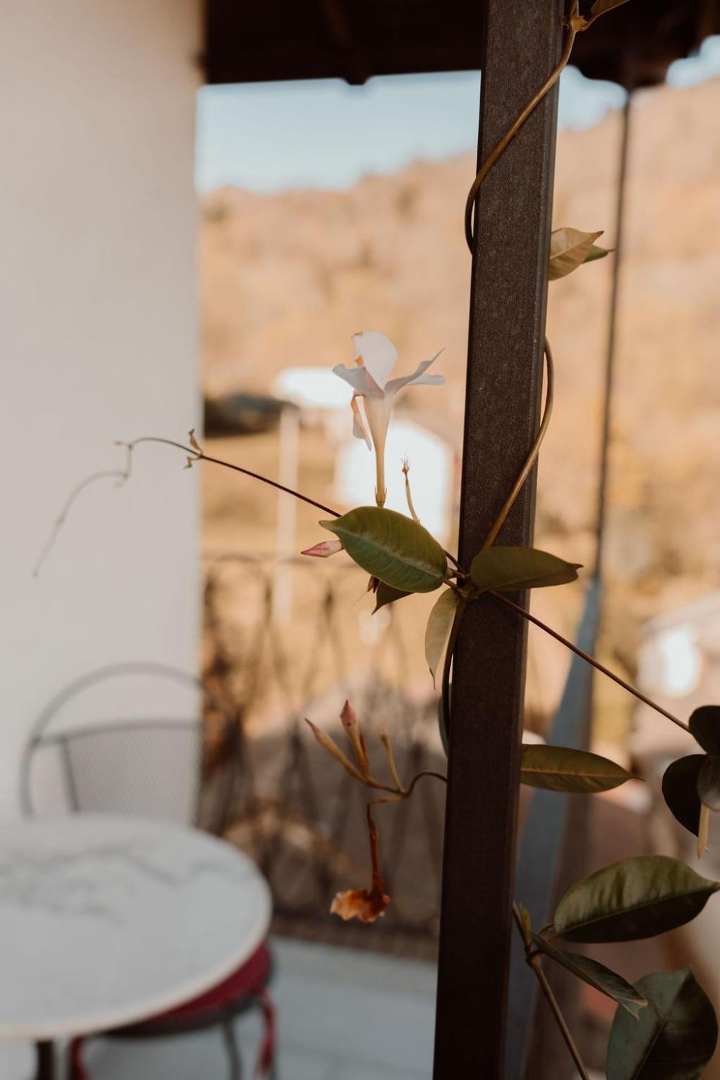 Guesthouse Giulietta E Romeo Cossogno ภายนอก รูปภาพ